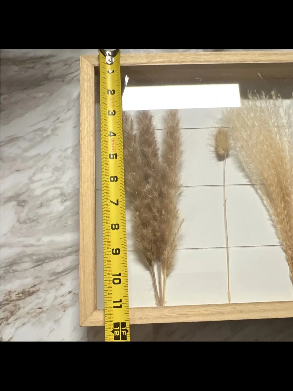 Natural Dried Pampas Grass Shadow Box Wall Art - Tan